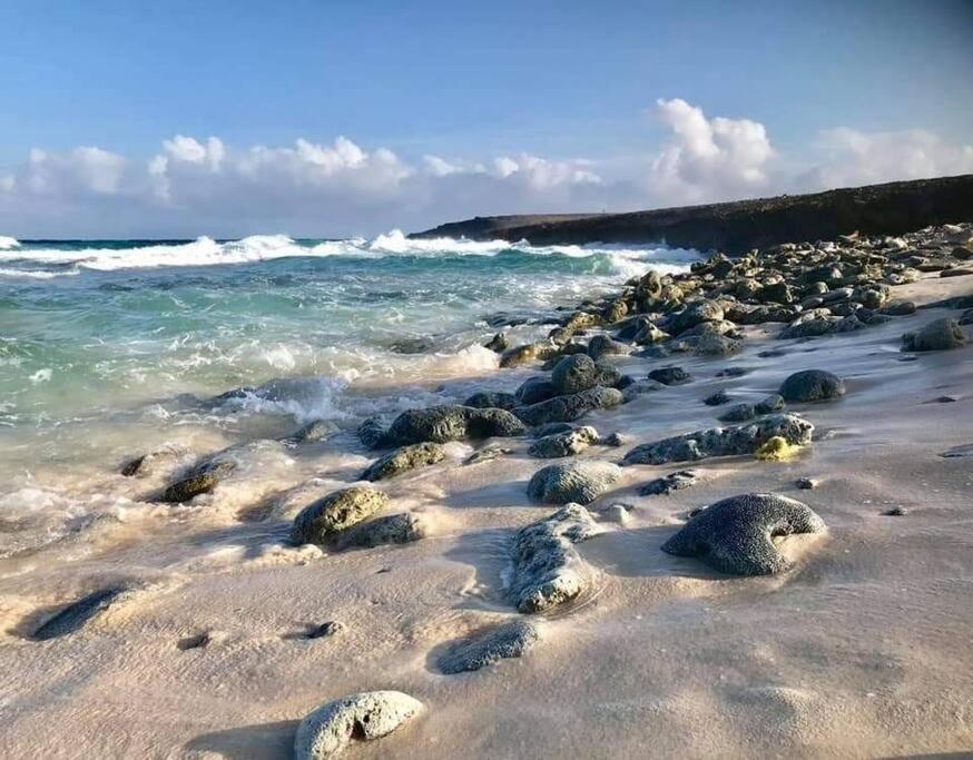 Aruba Condo The Pearl - At Eagle Beach - Minute Walk! パームビーチ エクステリア 写真